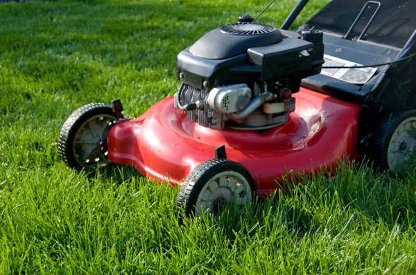 LAWN CARE SERVICE (chicago 60639)