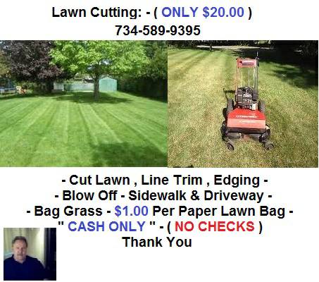 Lawn Cutting