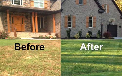 LAWN MOWING  LANDSCAPING (Ny Staten Island)