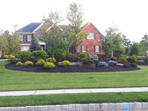 LawnLandscape Maintenance (Jackson)