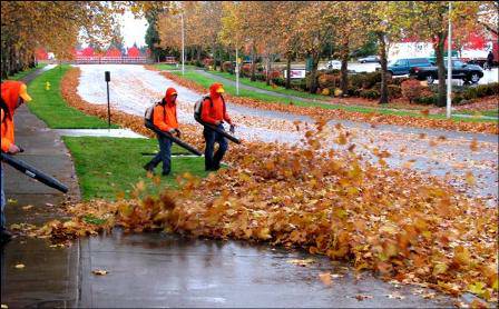 LEAF REMOVAL .OSCAR LAWN CARE (Johnson county kc ks kc moamp De Soto)