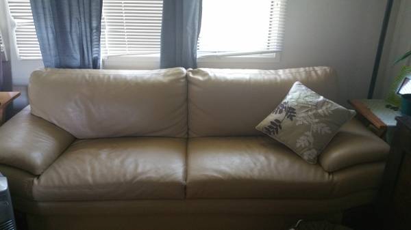 Leather couches with mohogany trim