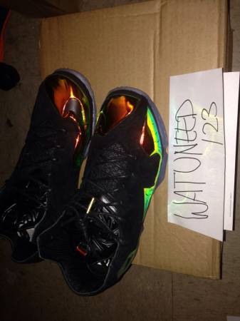 Lebron 11 King Crown size 9.5 looking for 11 or cash