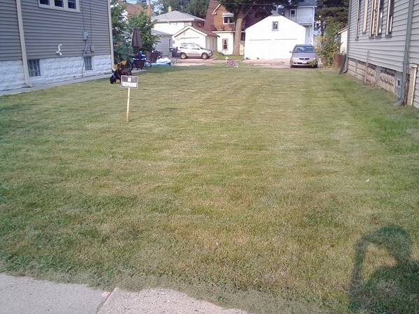 LEES LAWN SERVICE (PRICES STARTING AT 10) (Milwaukee and surronding)