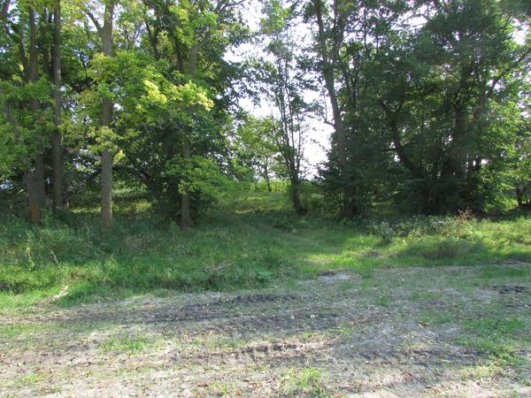 Lida Lake Lot by Club House 158 Shoreline (Pelican Rapids)