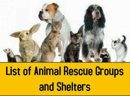 List of Shelters and Rescue Groups (Nationwide)