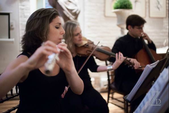 Live ClassicalJazz Musicians For Your 2015 WeddingEvent (Violin, Cello, Flute, Harp, Guitar, Piano)