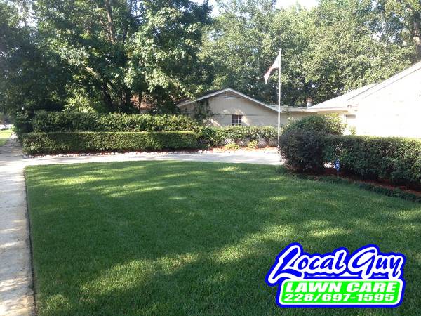 Local Guy Lawn Care Lawn Maintance Pressure Washing and more