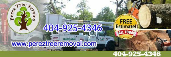 LOCAL TREE SERVICE FULLY INSURED 20 YEARS (CRANES