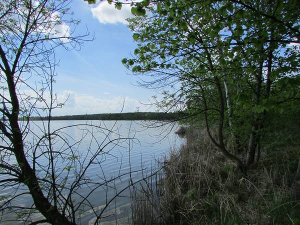 Long Lake 7 Acre Lot Level amp Ready (Ottertail)