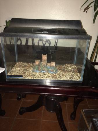 Look Fish tankaquarium complete set up for sale