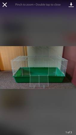 Looking for guinea pig cages (55reavis barracks)