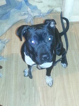 lost BW pit male (hull st.)