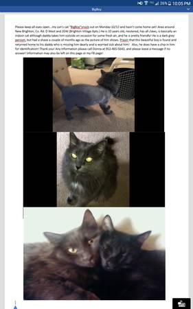 Lost dark gray cat (35W and Co. Rd. D West)