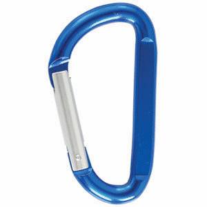 LOST KEYS on carabiner REWARD (Dorthea Dix)