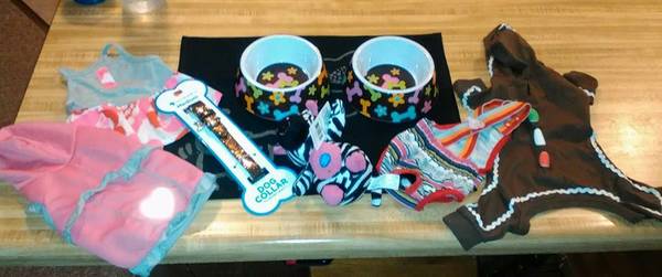 Lot of nice Doggy items, size small to medium 25 for everything (Eagle River)