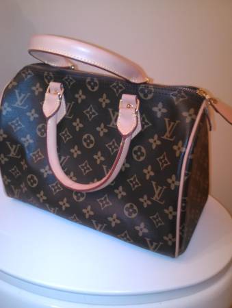 Louis Vuitton Speedy 30 M41526 Hobo Bag