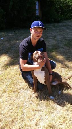 Loving Staffordshire Terrier mix looking for forever home (Edmonds)