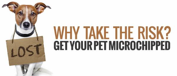 Low Cost Mircochip Clinic For Cats and Dogs April 26th (Chuck amp Dons in Bloomington)