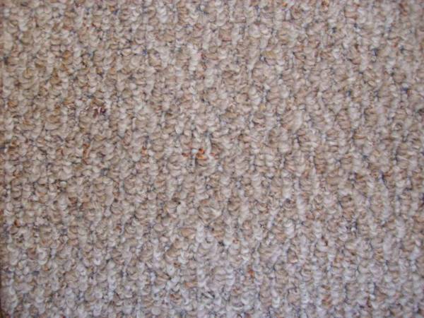 Low priced Nice Carpet (dallas)