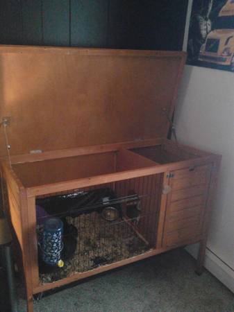 lowered price Liter box trained rabbit (Mukwonago)