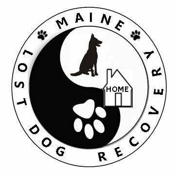 Maine Lost Dog Recovery