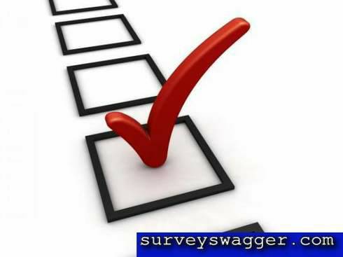Make Cash On the Web with Paid Surveys (napa county)