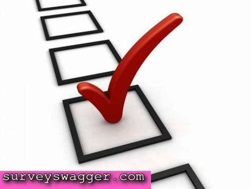 Make Money On the Web with Paid Surveys
