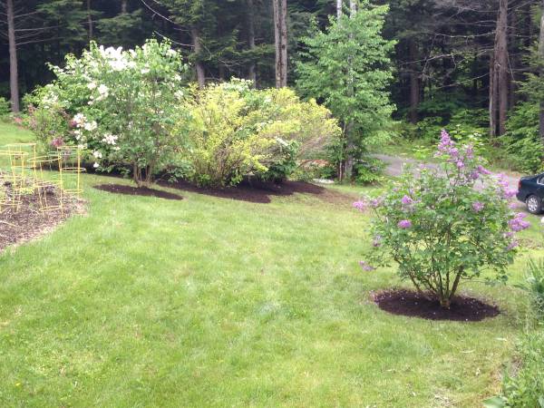 Maple Mountain Landscaping (Putney)