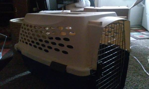 Medium Dog Kennel