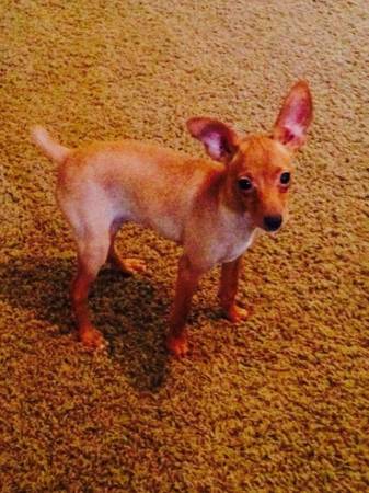 Min pin (Lucedale)