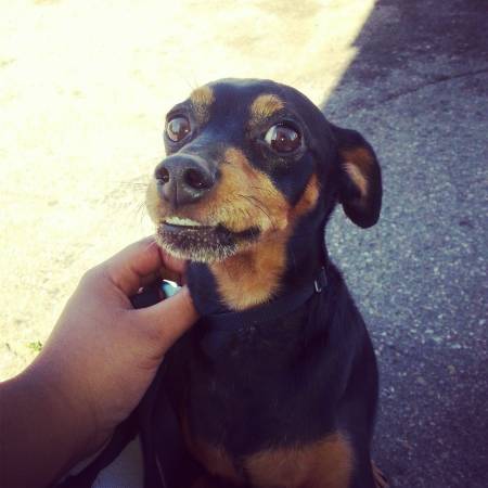 MinPin to Great Home (fort worth)