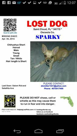 missing chihuahua REWARD OFFERED (United States)