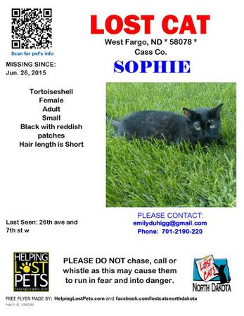 Missing female black cat WF (West Fargo)