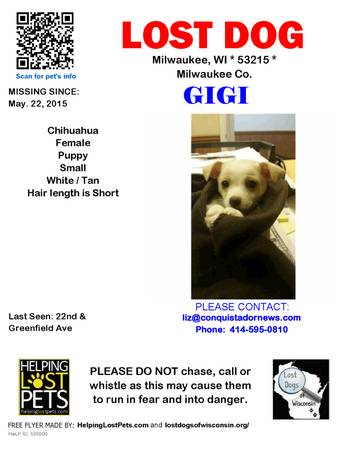 MISSING  Female Chihuahua Puppy (see pic) (Milwaukee)