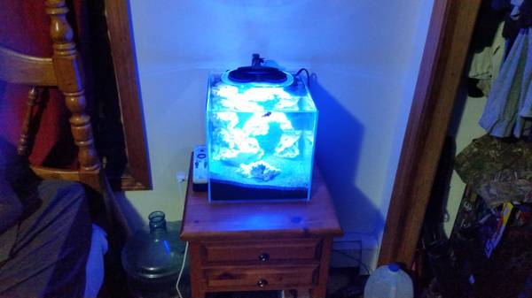 nano saltwater aquarium (jaffrey)