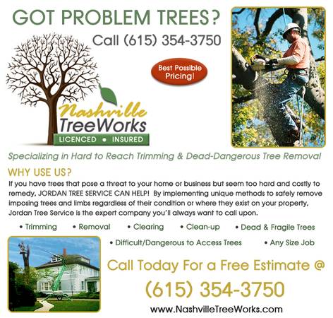 Nashville Tree Works (Nashville and surrounding counties)