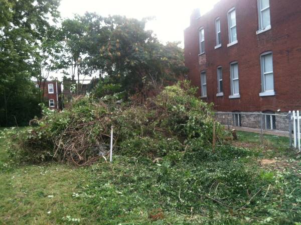Need a brush pile removed (McKinley Heights)