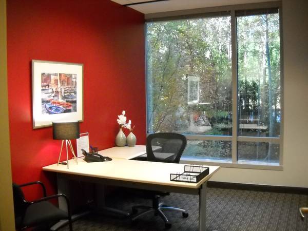 NEED TO MEET WITH A CLIENT BUT YOUR OFFICE IS AT HOME (alpharetta)