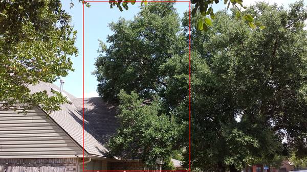 Need tree branches cut above house (Richardson)