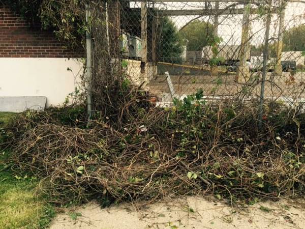 Need Wire fence removed and scrapped (NE Minneapolis)