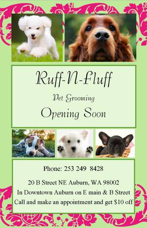 New Dog grooming shop opening (auburn)