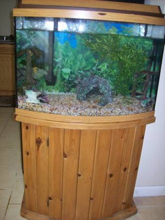 New fishtank wstand amp beautiful color fish (Everett)