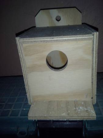 NEW PARAKEET NASTING BOX (norman)