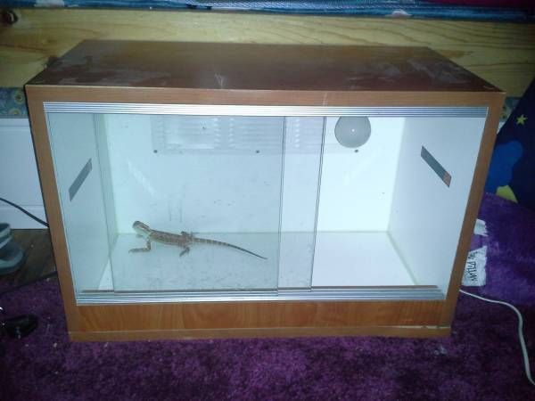 Nice cageviv(cash or trade) Plus 2 light fixtures(trade only)