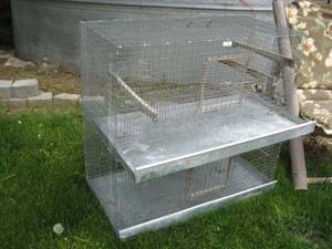 Nice clean RABBIT cage 35 (Meridian)