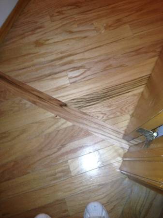 no flooring job to small (Oklahoma City metro)