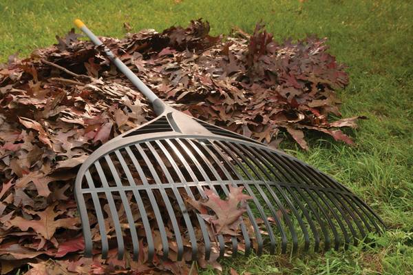 Now offering lawn raking services this fall season (NW Okc)