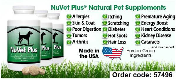 NuVet Plus human grade natural nutritional supplements for dogs