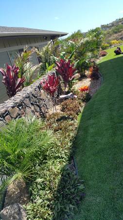 OAHU COMPLETE YARD SERVICE QUALITY AFFORDABLE PRICE (Islandwide)
